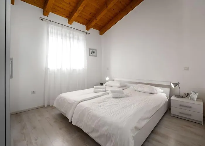 Maslina By Briskva * ポレッチ